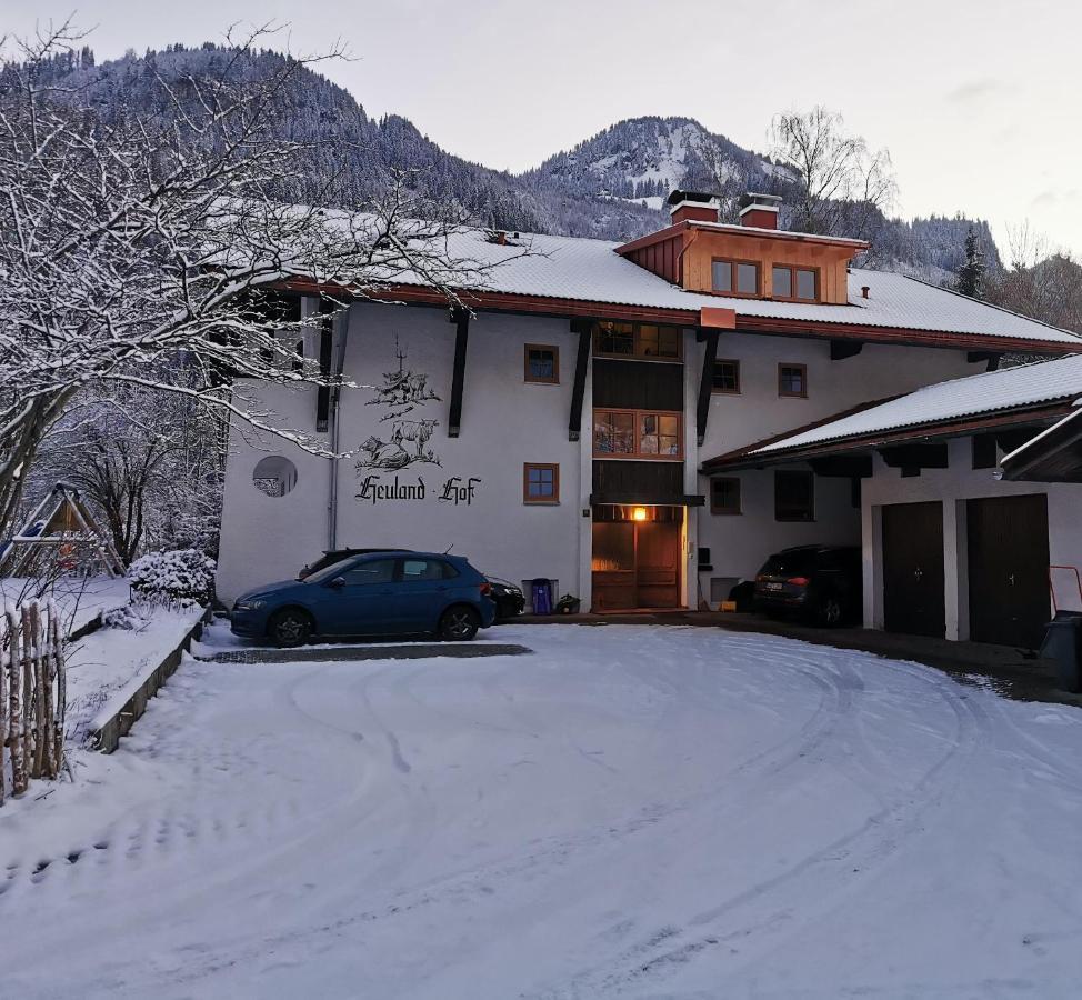 Ferienwohnung Wiesenblick Bad Hindelang Εξωτερικό φωτογραφία